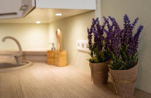 Viljandi Apartamento | Leola Center Apartment