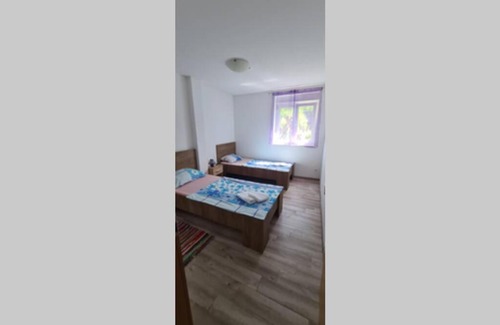 Ljuta Apartamento | LEON