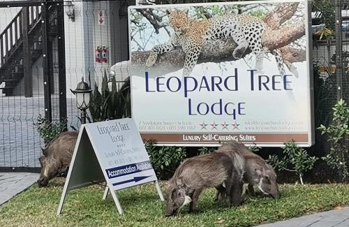 St. Lucia Cabina | Leopard Tree Lodge