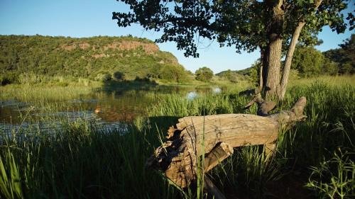 Vaalwater Cabina | Leopards Rock Bush Boutique