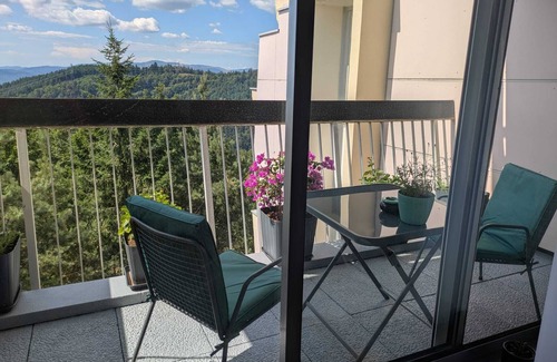 Trois-Epis Apartamento | "Les 3 Zepp - A refuge between sky and forest. 15mn from Colmar