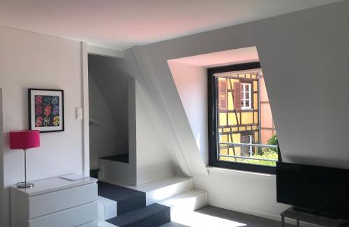 Krutenau Apartamento | Les Appartements du Renard