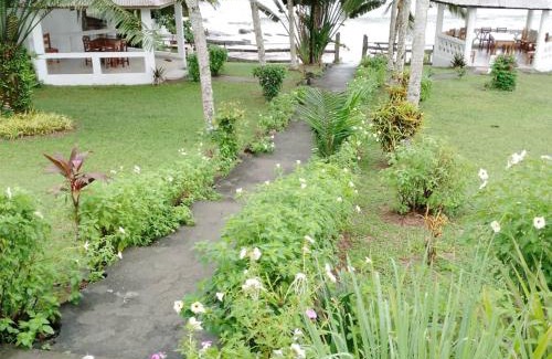 Kribi Apartamento | Les baleines