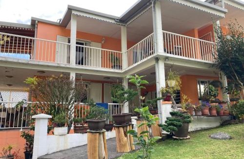 Cilaos Casa | Les Begonias