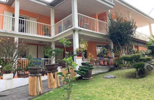Cilaos Casa | Les Begonias