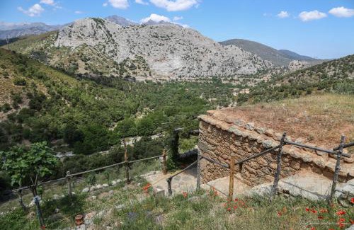 Omessa Casa | Les Bergeries "Le figuier"