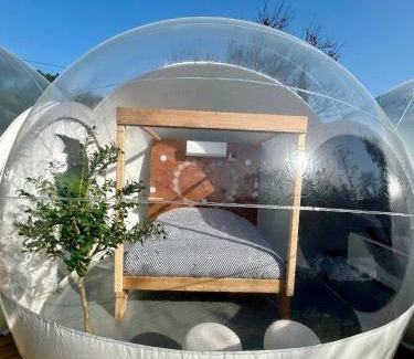 Les 3 Ponts Otro | Les bulles Nîmoises