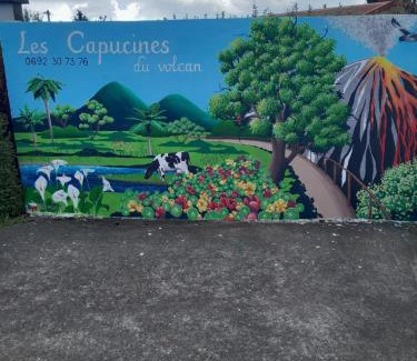 La Plaine des Cafres Casa | Les capucines du volcan Plaine des cafres