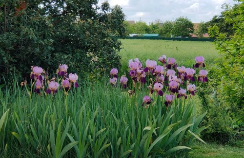 Ferolles Cabaña | Les Chailleuses. Loire Valley and Sologne