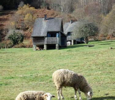 Osse-en-Aspe Chalet De Esquí | Les chalets de la forêt d'Issaux