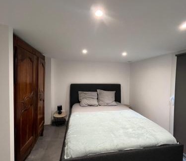 Brunstatt-Didenheim Apartamento | Les chambre de Marie Appartement Rez de chaussé
