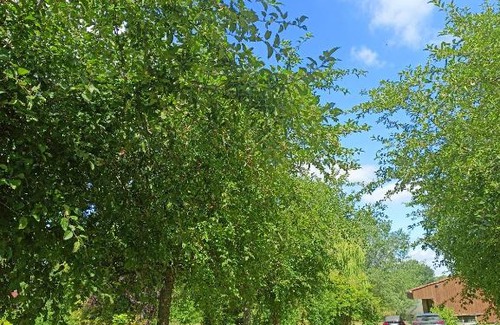Verlinghem Casa | Les chambres du Vert Galant Rez de jardin