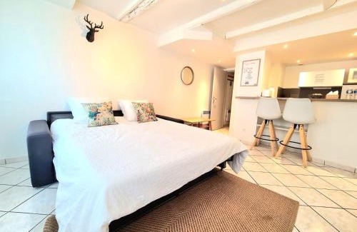 Saint-Pierre - Rene II - Bonsecours Apartamento | Les Cosy De Nancy - La cache du cerf - 4étoiles
