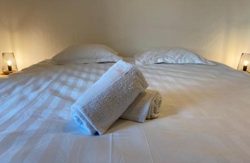 Saint-Pierre - Rene II - Bonsecours Apartamento | Les Cosy De Nancy - Urban Jungle - 4 étoiles
