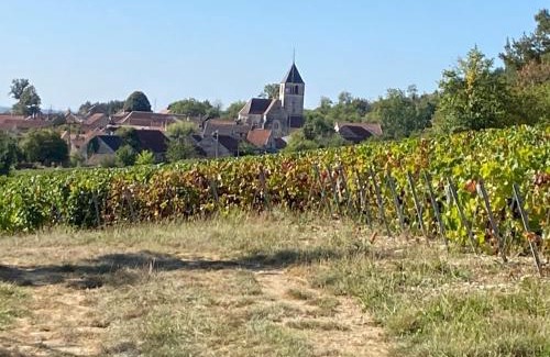 Bouix Casa | les Crescentines