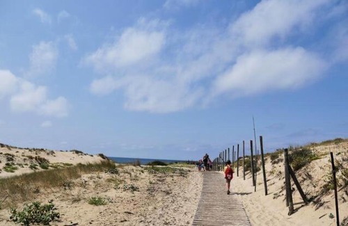 Saint-Julien-en-Born Otro | Les Dunes de CONTIS