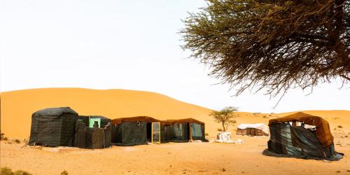 Fask Otro | Les dunes dorées Elborj