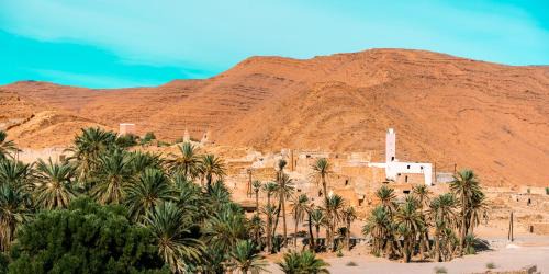 Fask Otro | Les dunes dorées Elborj