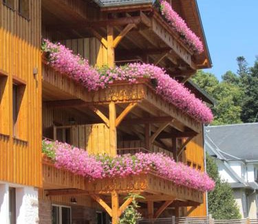Sainte-Marie-aux-Mines Casa | LES GÎTES D'ADELSPACH - Gîtes 4 étoiles Nature & Spa