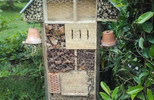 Pierrefiques Casa | Les Grains D'Or - VILLAINVILLE