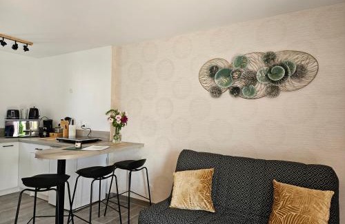 Chatillon-sur-Cher Casa | Les Hirondelles