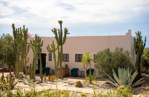 Afrate Haissoun Villa | Les jardins de Mogador, La Villa Cactus
