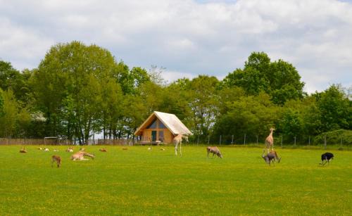 Le Vigen Cabina | Les Lodges Du Reynou