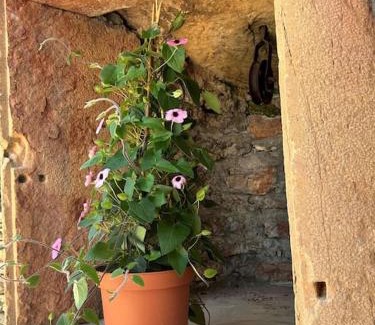 Prisse Casa | Les Murgers Au coeur des Vignes