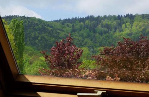 Cleebourg Casa | Les Petits Vignerons