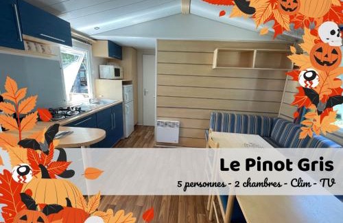 Boofzheim Cama Y Desayuno | Les Pinots d'Alsace - 3 bungalows climatisés avec TV - Proche Europa Park
