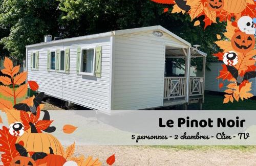 Boofzheim Cama Y Desayuno | Les Pinots d'Alsace - 3 bungalows climatisés avec TV - Proche Europa Park