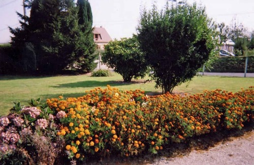 Angerville-la-Martel Casa | Les Pommiers - Angerville LA Martel