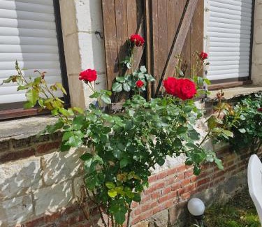 Mailly-Maillet Casa | Les Roses du Souvenir