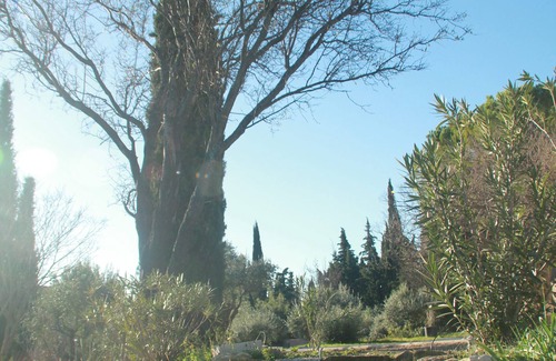 Mormoiron Apartamento | Les Roucas: tipo de estudio, encanto provenzal garantizado, vistas al jardín y la piscina