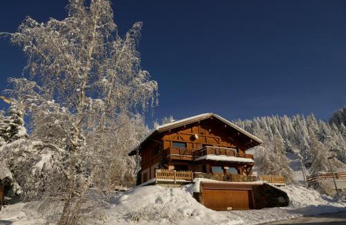 Les Saisies Apartamento | Les Saisies côté Bisanne appartement dans chalet LE Népal