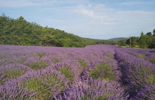 Rochefort-en-Valdaine Casa | les théolats