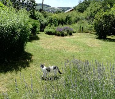 Treignes Casa | Les Tiennes