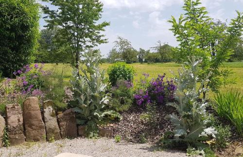 Fougerolles-Saint-Valbert Casa | Les Vergers d'Epona "Fougerolles Haute-Saône"