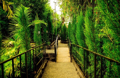 Kiserian Hotel | Lesiolo Hills Hotel