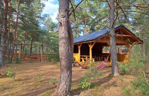 gmina Karsin Casa | Lesne Runo Borsk