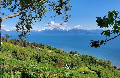 Kenai Apartamento | Less than a mile from the mouth of the Kenai River!