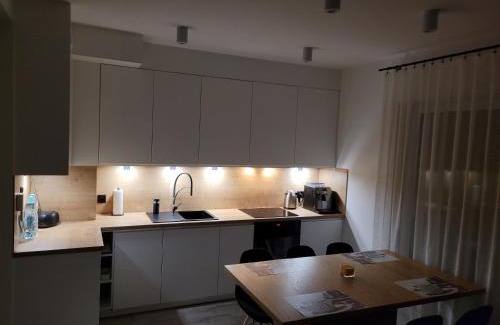 Wodzislaw Slaski Apartamento | Leszka Loft Apartment