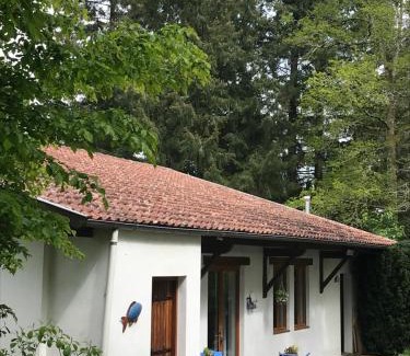 Saint-Junien Casa | L’Etang Carp fishing lake and Gite