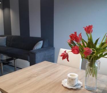 Oliwa Apartamento | Letnia Oliwa