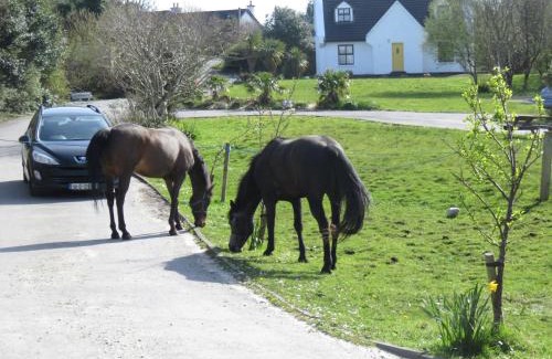 Letterfrack Casa | Letterfrack Farmhouse on equestrian farm in Letterfrack beside Connemara National Park