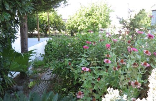 Rovies Apartamento | Leventis Apartments