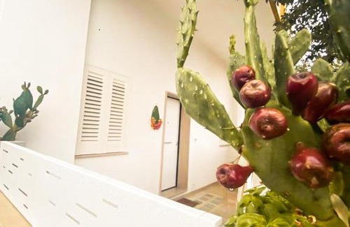 Collemeto Apartamento | Li Palasciani