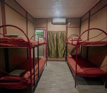 Kuala Tahan Hostal | Liana Hostel Taman Negara