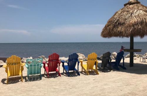 Key Largo Apartamento | LICENSED MGR - MODERN OCEANFRONT CONDO! BEAUTIFUL OCEAN VIEWS! BEACH RESORT! 2 KING BEDs!