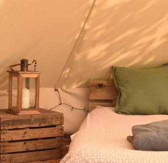 Cullompton Otro | Lickham Bottom Camping